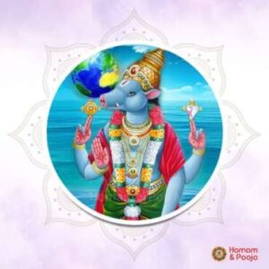 BhooVarahaHomam