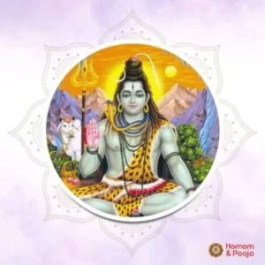 ShivaHomam